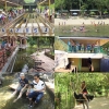 Có gì độc đáo ở công viên Yang Bay Nha Trang