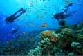 Kinh nghiệm lặn biển nha trang