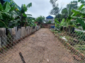 Bán đất Tân Dân, 82m2, mt4m, ô tô, 1.98 tỷ, Sóc Sơn
