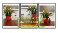 Chai nhựa 100ml đựng thuốc diệt gián, muỗi, chuột…, chai xịt côn trùng 250ml, chai 500ml đựng hóa chất