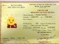 chứng chỉ kế toán trưởng tại hải phòng