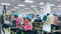 Tuyển lao động nữ lắp ráp linh kiện điện tử Nhật Bản