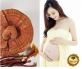 Nấm Linh Chi rất tốt cho phụ nữ mang thai