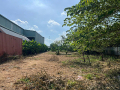 SIÊU RẺ- BÁN ĐẤT, DT: 1.560M2 MẶT TIỀN ĐƯỜNG BẢY TẤN, XÃ AN PHÚ TÂY, HUYỆN BÌNH CHÁNH