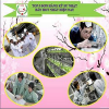 Tuyển kỹ sư ngành IT, Công nghệ thông tin