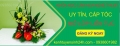 Học cắm hoa nghệ thuật