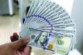 Du lịch ngưng trệ giữa đại dịch, USD đìu hiu