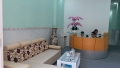 Dịch vụ văn phòng chia sẻ  và quản trị văn phòng  Dream Planet  Tân Phú.
