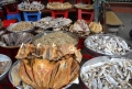 Tránh xa mực ma khô 200K và nhà hàng chặt chém.