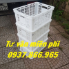 Sọt nhựa nguyên sinh, phân phối sọt nhựa toàn miền bắc, sọt màu trắng nhựa nguyên sinh, bán sọt nhựa, sọt nhựa giá rẻ, sọt nhựa tại Hà Nội