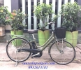 Xe đạp điện trợ lực Nhật : Bridgesstone VelTro