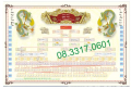 Vẽ cây gia phả, vẽ cây phả đồ, vẽ cây phả hệ dòng họ
