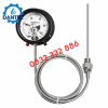 Đồng Hồ Nhiệt Độ Tiếp Điểm Điện Wise T710 Có Gì Đặc Biệt? Đặc Điểm Và Ứng Dụng Thực Tế