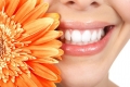 Trồng răng Implant mất bao lâu mới xong?