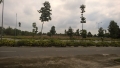 BÁN LÔ ĐẤT 300m2/300tr . dt 01656410100