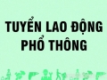 Việc Làm Phổ Thông Tại Quảng Nam