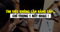 Bằng cấp có phải là điều nhà tuyển dụng quan tâm
