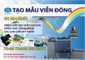 In card visit lấy nhanh ở đâu Hà Nội -ĐT 0904242374