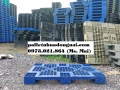 Báo giá pallet nhựa mới nhất hiện nay, liên hệ 0973021864 (24/7)