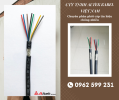 Cáp tín hiệu chống nhiễu lưới đồng mạ thiếc + Al Foil