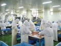 Tuyển gấp lao động làm việc tại Mỹ + định cư Mỹ 2015