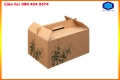 Làm thùng carton 5 lớp giá rẻ tại Hà Nội