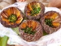 Kinh nghiệm du lịch Eo Gió Quy Nhơn
