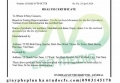 Làm giấy chứng nhận y tế HC cho sữa tươi tiệt trùng