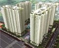 Cần bán  Penthouse HAGL3 Q7, TPHCM