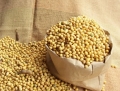 Chuyên cung cấp đậu nành nguồn gốc Ethiopia