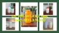 Hủ nhựa 1.5 ký nắp vặn, hủ nhựa 1 ký màu vàng, hủ nhựa 500g màu xanh