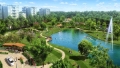 Bán đất nền biệt thự, liền kề dự án Dragon Park Văn Giang