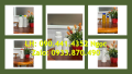 Chai thủy tinh 1 lít tròn đựng hóa chất thí nghiệm, bình thủy tinh 0.5 lít đựng hóa chất