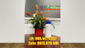 Bình nhựa 500ml vuông đựng hóa chất loãng, chai nhựa 1000ml đựng thuốc BVTV