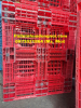 Phân phối pallet nhựa cũ giá rẻ tại Tây Ninh, liên hệ 0973021864 (24/7)