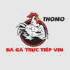 ĐÁ GÀ TRỰC TIẾP VIN