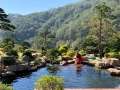Tour Đà Lạt 3N3Đ Tết Dương Lịch