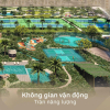 Bán Chung cư Trinity Square - Masteri - Vinhomes Ocean Park2
