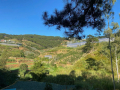 CẦN TIỀN BÁN GẤP LÔ ĐẤT ĐẸP VIEW RỪNG & SUỐI – ĐƯỜNG TRẦN THÁI TÔNG, ĐÀ LẠT 3000m2