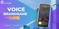 Dịch vụ viễn thông - Voice Brandname