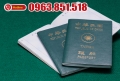 Hướng dẫn chi tiết thủ tục xin visa Đài Loan: Du lịch, công tác, xuất khẩu lao động Đài Loan