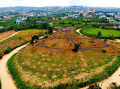 Bán Lô Đất Nghỉ Dưỡng Mặt tiền đường Ngô Tất Tố, xã Lộc Châu, Thành Phố Bảo Lộc.