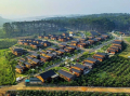 Chính Chủ Cần Bán Căn Hộ Nghỉ Dưỡng The Eco TropicanaGarden 1