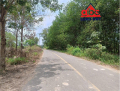 X090 bán nhà xưởng trên thửa đất rộng 9900m2, có sẵn trạm điện sản xuất. đường cont