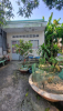 CƠ HỘI SỞ HỮU ĐẤT TRUNG TÂM TP LONG XUYÊN , AN GIANG