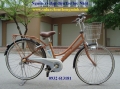 Xe đạp điện trợ lực Nhật