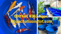 Sỉ lẻ thùng nhựa chữ nhật 2000 lít, thùng nhựa vuông 1800 lít đựng hàng hóa, thùng nhựa tròn 2000 lít làm hồ bơi
