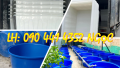 Tìm thùng nhựa chữ nhật cỡ 1800 lít, thùng nhựa 1700L đựng hàng hóa nông sản