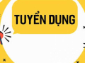 TUYỂN NHÂN VIÊN NGÀNH GIÁO DỤC