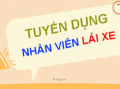 TUYỂN NHÂN VIÊN LÁI XE